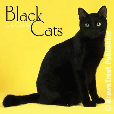 black_front.jpg, 12 KB